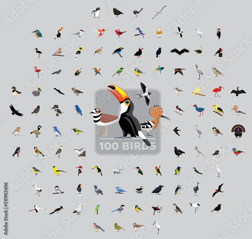 One Hundred Birds Cartoon Vector Illustration Set