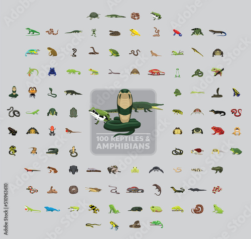 One Hundred Reptiles and Amphibians Cartoon Vector Illustration Set