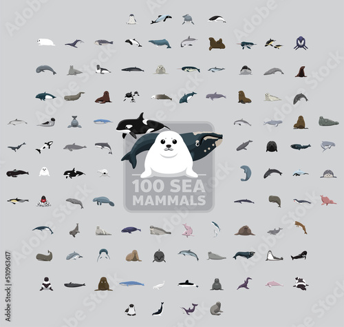One Hundred Sea Mammals Cartoon Vector Illustration Set