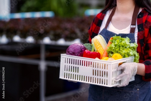 Gardener holding a white plastic box with vegetables. Carrot, bell pepper, corn, salad, potato, lemon, onion, cauliflower, broccoli. Blackground is a vegetable garden plot. Healthy lifstyle concept.