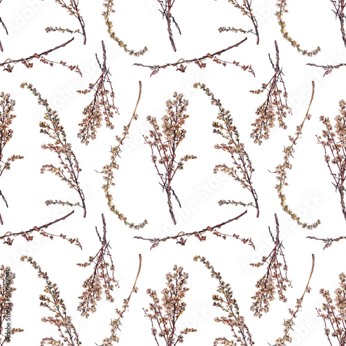 Seamless pattern watercolor dried wild flower wormwood isolated on white background. Hand-drawn brown branch herb for decor. Botanical antique illustration for wallpaper florist. Nature clipart
