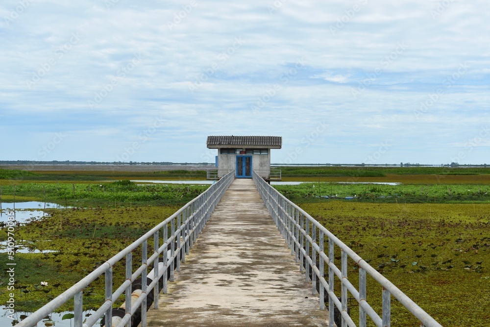 The smallest house at the end of the concrete walk in Thale noi area, beautiful natural view point of Phatthalung Province. The smallest house at the end of the concrete walk in Thale noi area, beautiful natural view point of Phatthalung Province.