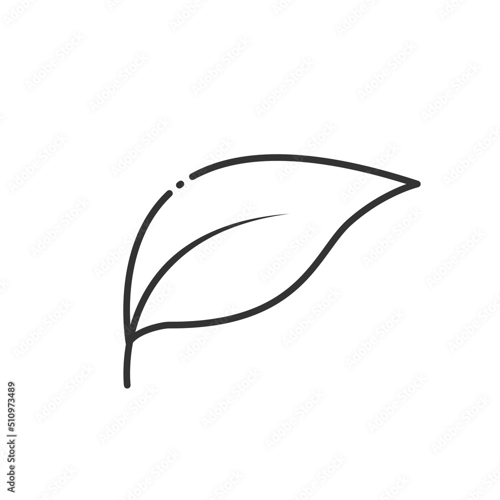Leaf vector. Outline leaf icon on white background Leaf vector. Outline leaf icon on white background