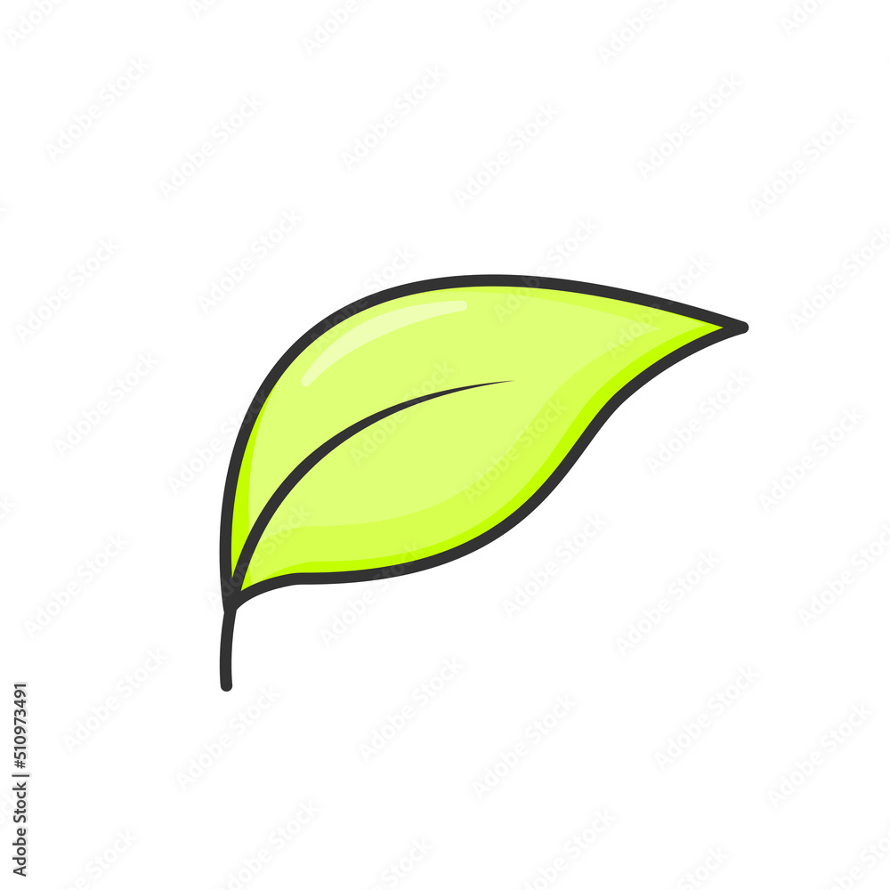 Leaf vector. Cartoon leaf icon on white background