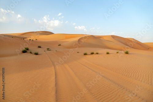 Natural landscape of the orange color sand dunes in the desert in Abu Dhabi