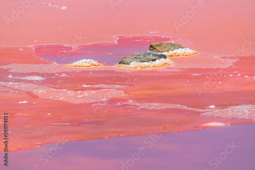 Pink water of the salt lake photo