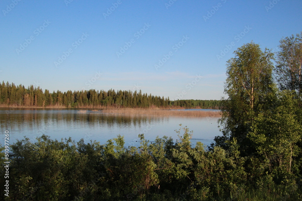 reflection of trees in the water, Elk Island National Park, Alberta