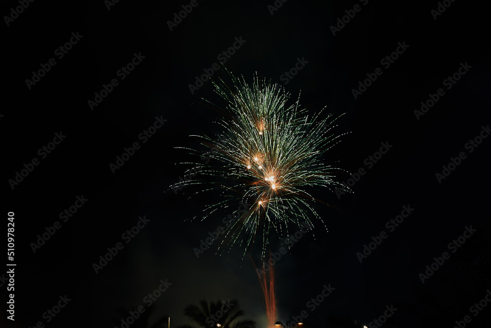 Multicolored fireworks in the night sky. Celebration of Independence Day, New Year and other holidays