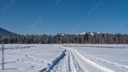 A well-trodden road goes forward through a snow-covered valley. Footprints are visible in the snowdrifts on the roadsides. Coniferous forest and mountain range against a clear blue sky. Altai