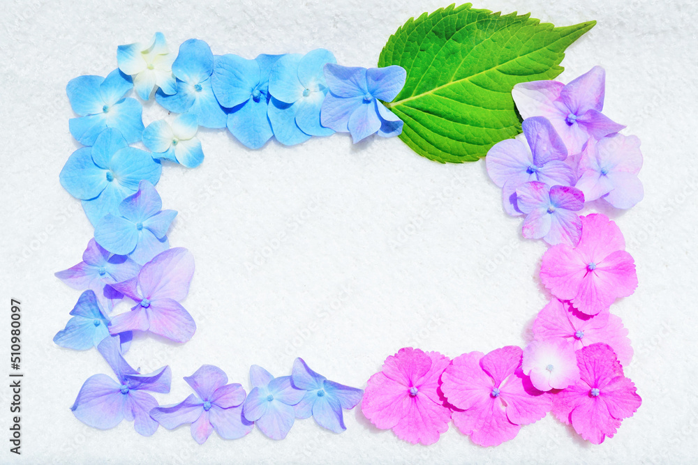 ブルー、バープル、ピンクをグラデーションで並べた紫陽花の葉っぱとガクで囲んだ爽やかなタイトル枠