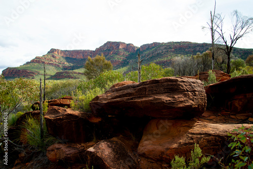 Fotografie Ikara-Flinders Ranges National Park - Australia