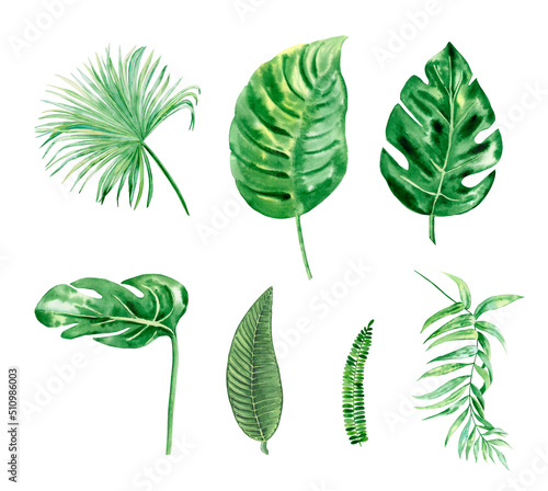 Tropical leaves set watercolor illustration. Green jungle foliage on isolated background. Hand drawn branches of palm trees and exotic bushes. For postcards and wedding design. Floral elements 