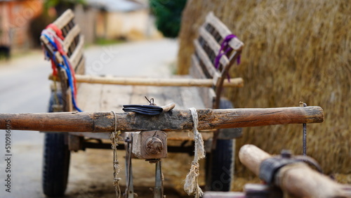 Принти на полотні bullock cart in the village image selective focus
