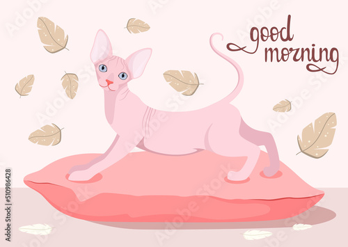 A sphinx cat on a pillow. Postcard. Good morning. Cartoon design.
