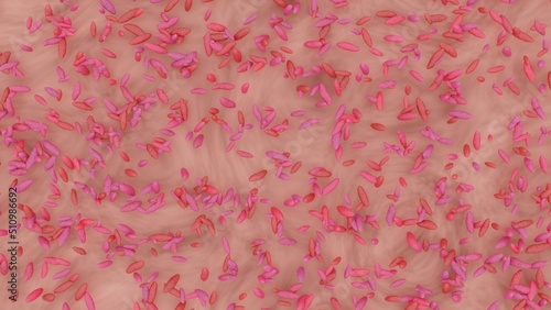 Bacillota or Bacteroidetes visualization. 3d illustration. Symbiotic species of Bacteroidota well adapted to the gastrointestinal tract