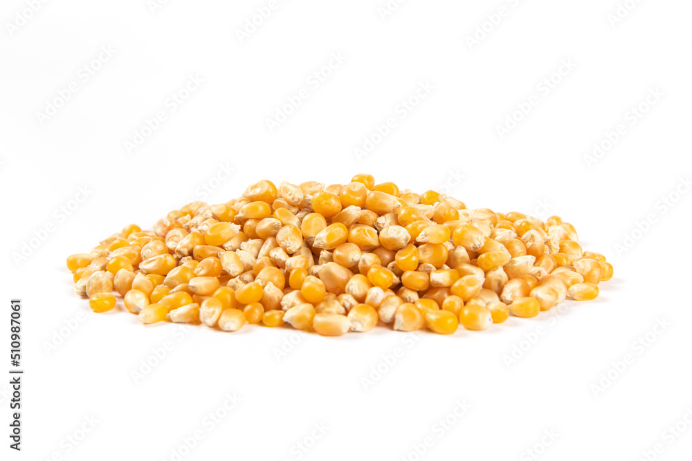 pile of dry corn isolated on white background.Unpopped popcorn pile of dry corn isolated on white background.Unpopped popcorn