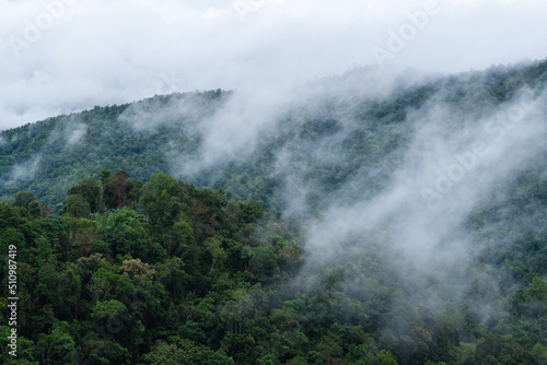 Landscape image of greenery rainforest mountains and hills on foggy day © Farknot Architect