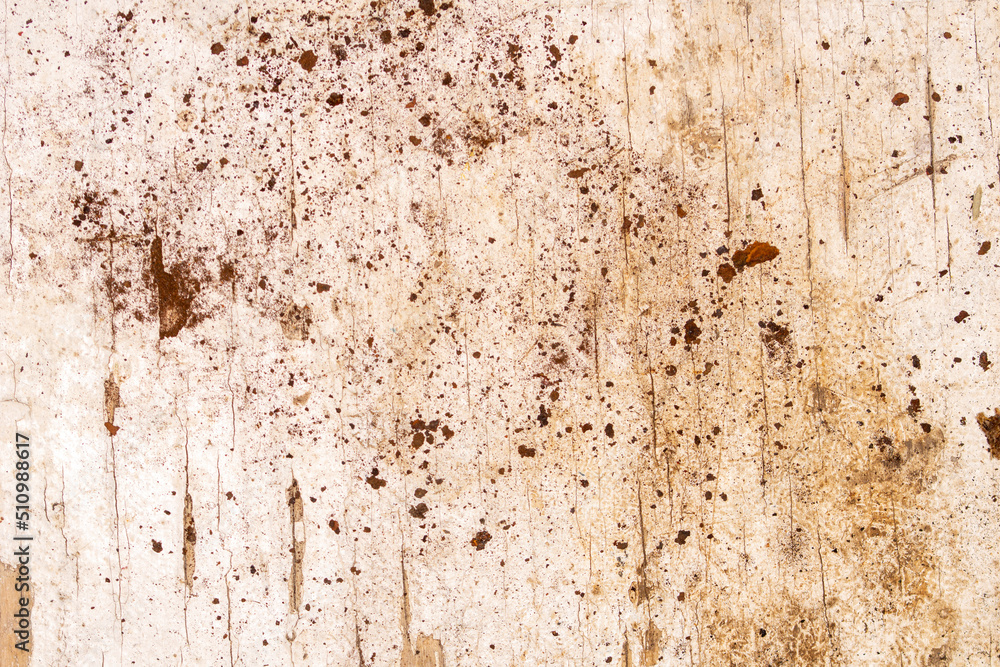 Background old wooden surface covered with paint Background old wooden surface covered with paint