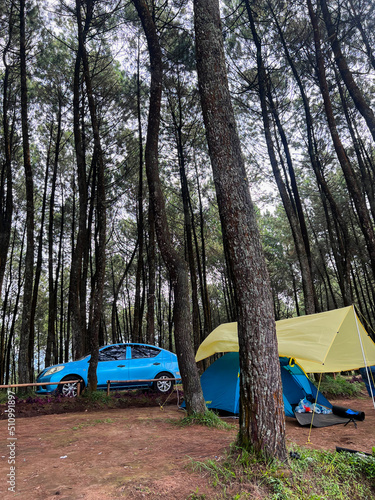 The atmosphere around the tent site of the Datar Pinus park. Lots of traveller are Camping at Datar Pinus Pangalengan Park. 
