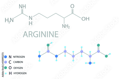Arginine molecular skeletal 3D chemical formula. 