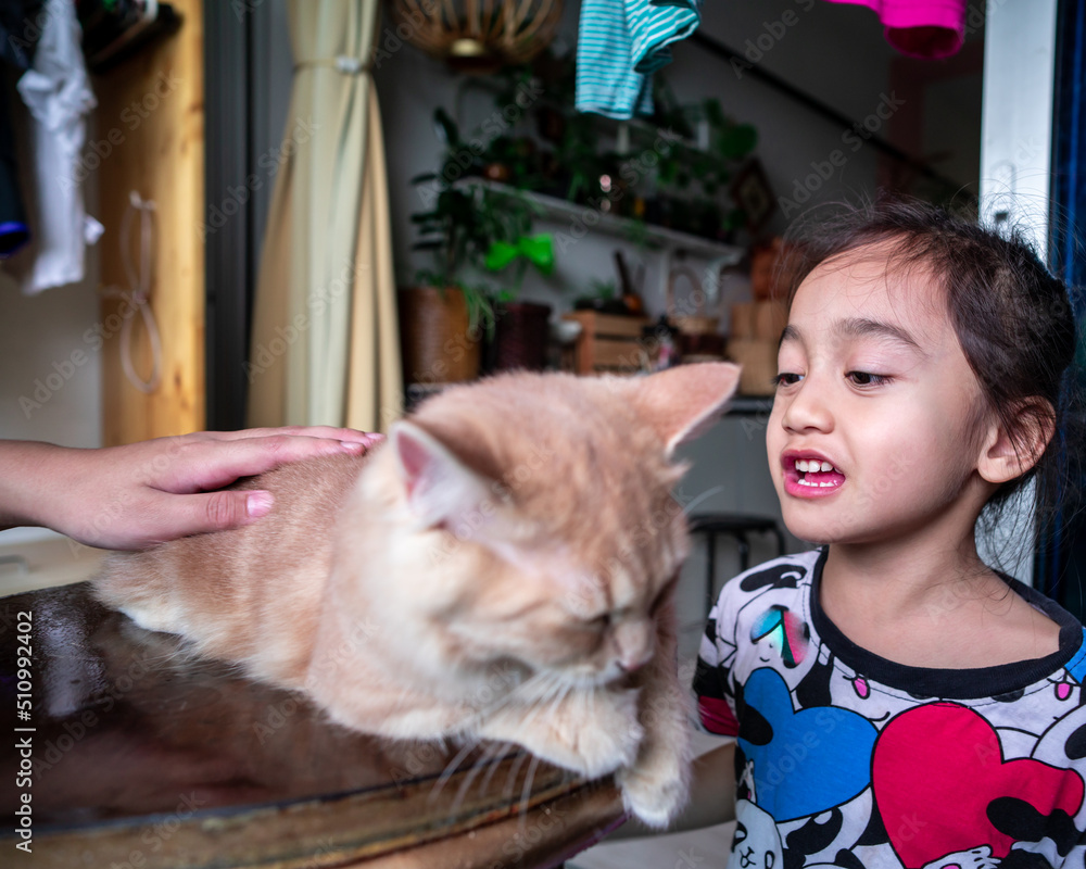 The portrait of a small cute child who embraces the cat tenderly and loves it with happiness. The portrait of a small cute child who embraces the cat tenderly and loves it with happiness.