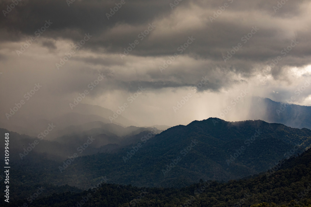 rain over the tropical forest