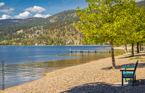 Summer day at the Okanagan lake beach in Kelowna, BC. The view on the beach with trees and benches. photo