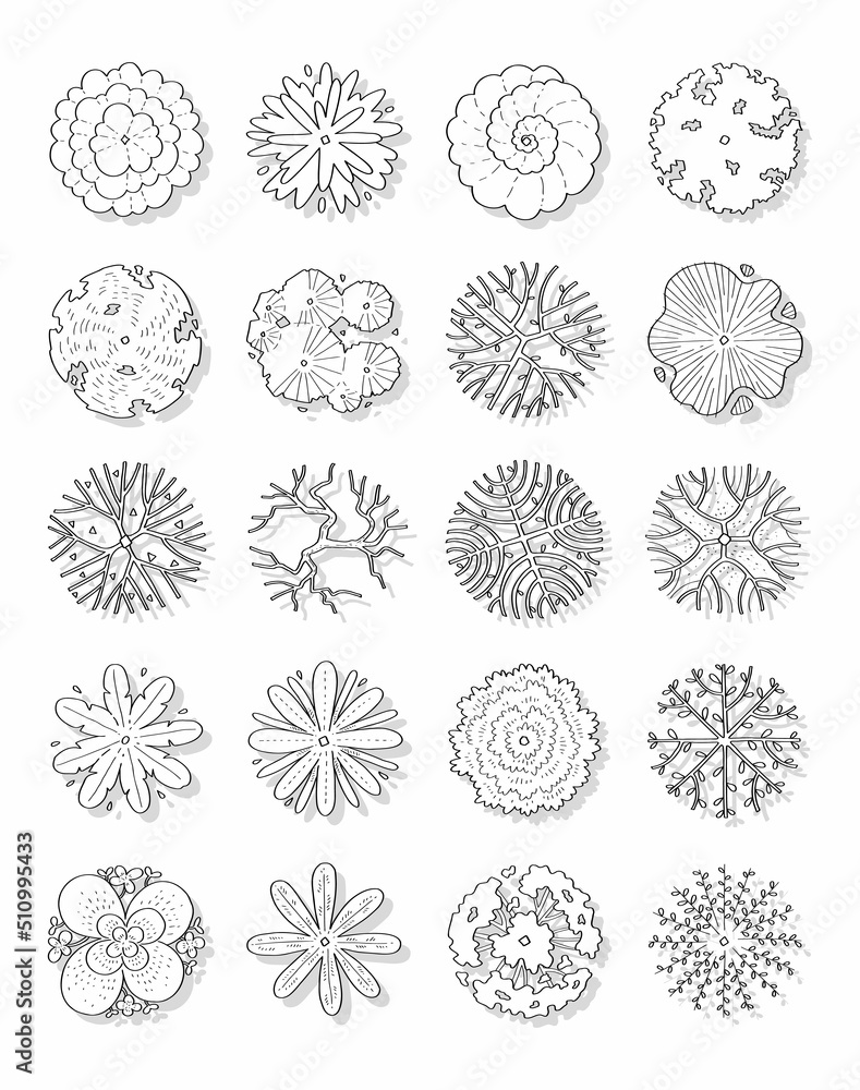 Hand drawn vector set of top view trees. Hand drawn vector set of top view trees.