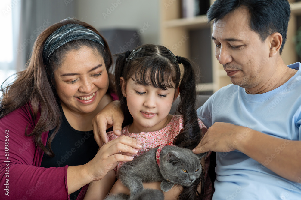 Close up of asian family with child daughter playing with pet cat in living room at home. Smiling parents and teen girl kid embracing cute cat. Happy father, mother and daughter enjoy with cute cate. Close up of asian family with child daughter playing with pet cat in living room at home. Smiling parents and teen girl kid embracing cute cat. Happy father, mother and daughter enjoy with cute cate.