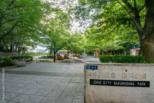 東京都中央区立桜川公園 photo
