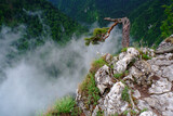 Sokolica – szczyt w północno-wschodniej części Pienin Środkowych, w tzw. Pieninkach, na obszarze Pienińskiego Parku Narodowego
