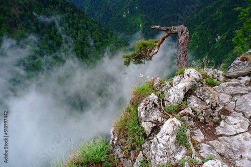Sokolica – szczyt w północno-wschodniej części Pienin Środkowych, w tzw. Pieninkach, na obszarze Pienińskiego Parku Narodowego