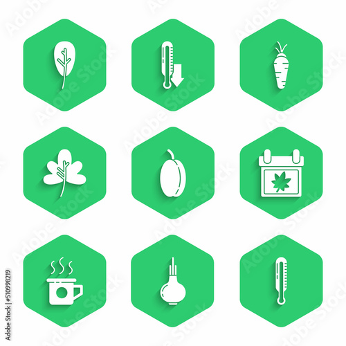 Set Plum fruit, Onion, Meteorology thermometer, Calendar with autumn leaves, Cup of tea, Leaf, Carrot and icon. Vector