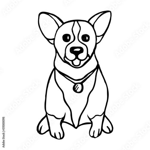 The dog is a corgi puppy with a collar, isolated on a white background.Vector illustration of an animal in the doodle style. © VERONIKA