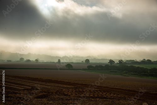 Cornish farmland in the summer