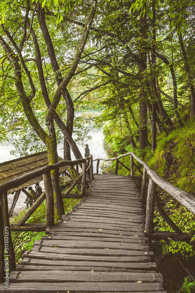 sunny day in a rainforest with a wooden bridge . An old wooden bridge with railings leads to the lake sunny day in a rainforest with a wooden bridge . An old wooden bridge with railings leads to the lake