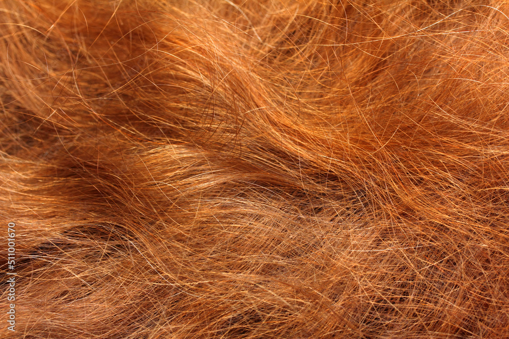 Naklejka premium red hair close-up background