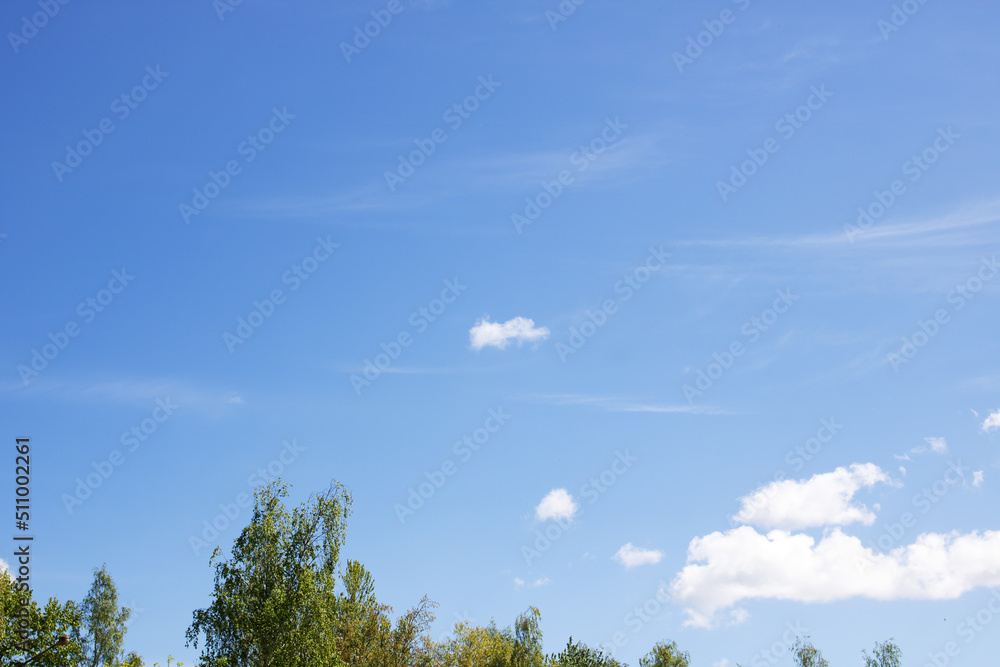 Fototapeta premium Clouds in a bright blue sky in sunlight