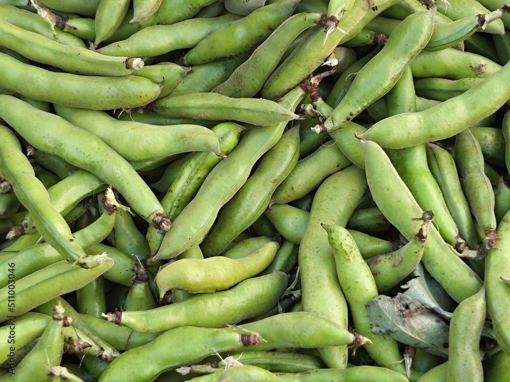 Traditional broad beans from the market