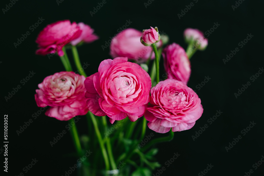Spring bouquet for birthday, Mother's Day, March 8, International Women's Day, anniversary. Happy Valentine's Day. Spring bouquet for birthday, Mother's Day, March 8, International Women's Day, anniversary. Happy Valentine's Day.