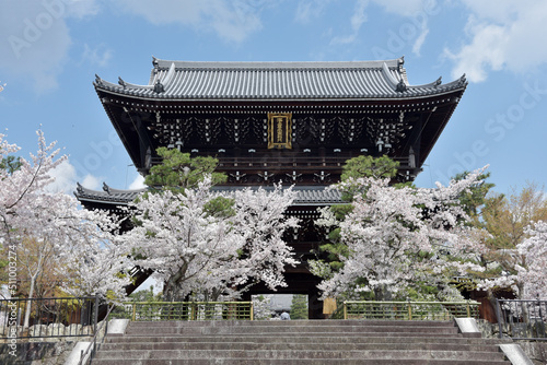 春の金戒光明寺　山門　京都市左京区黒谷 photo