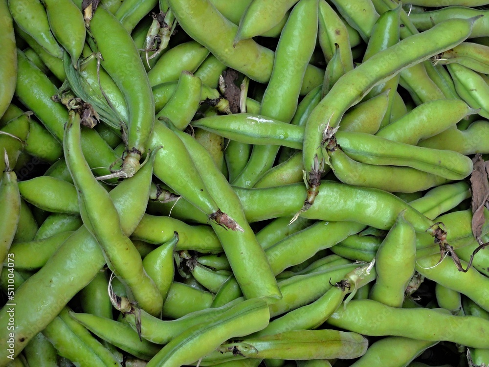 Traditional broad beans from the market