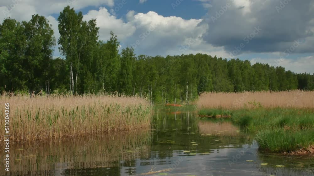 Summer scene, Finland Summer scene, Finland