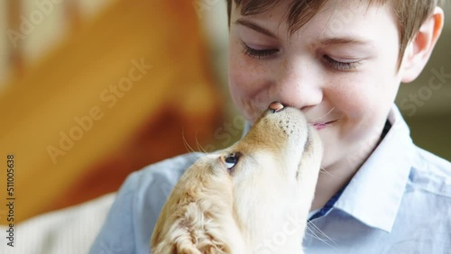 Golden Hovawart cute puppy. Portrait of cute puppy with teen boy in room. Happy cute puppy resting in the arms of a child, a dream come true. Golden Retriever sweet puppy