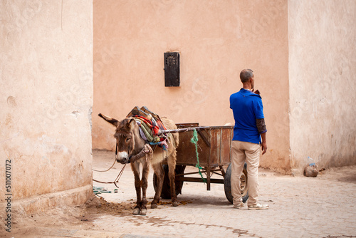Hombre, burro y carro. Oficios tradicionales. Estampa costumbrista en Marrakech (Marruecos). photo