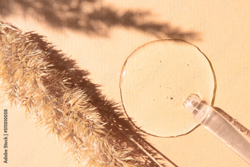 Transparent drop of cosmetic hyaluronic acid with a glass dropper on a beige background with dry plants, top view. Transparent drop of cosmetic hyaluronic acid with a glass dropper on a beige background with dry plants, top view.