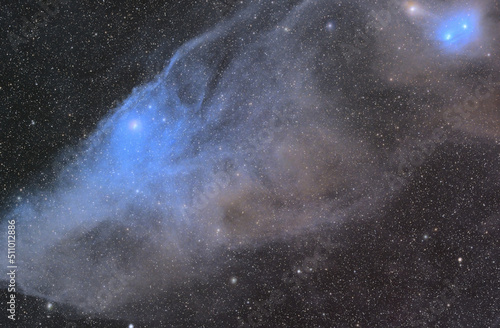 青い馬頭星雲 The Blue Horsehead Nebula (IC4592)	