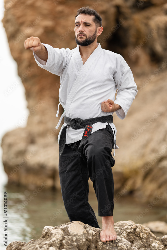 Karate master in kimono wearing a black belt with the word "bushido" in  Japanese on a rock throwing a punch. Stock Photo | Adobe Stock