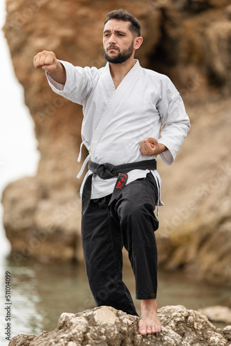 Karate master in kimono wearing a black belt with the word "bushido" in Japanese on a rock throwing a punch. 