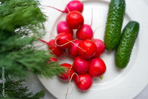 Spring fresh vegetables radishes, cucumber and greens on white plate. Fresh organic farm vegetables, radishes, cucumbers.